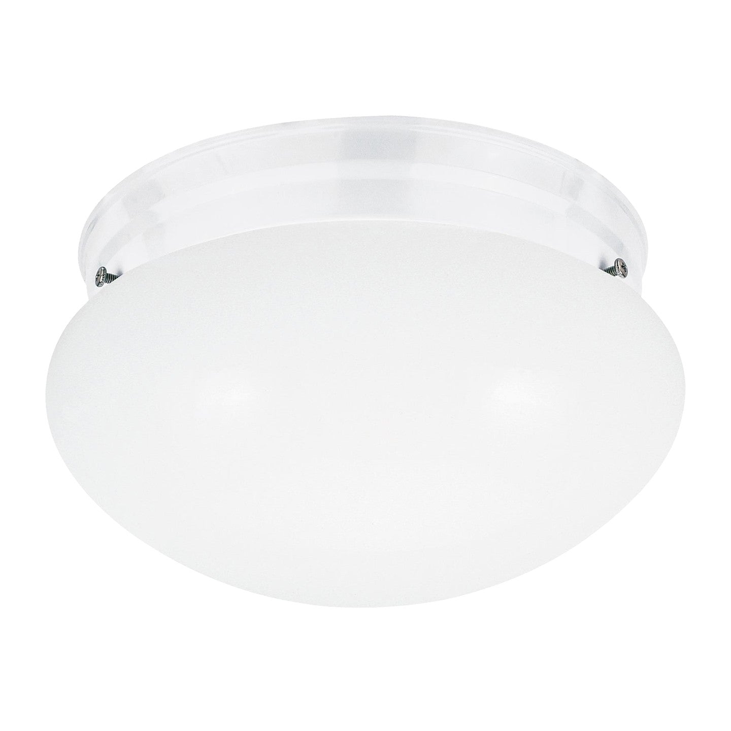 Plafonnier 2 lumières | Webster