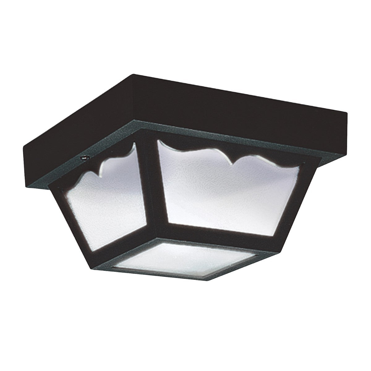 Plafonnier extérieur 1 lumière | Outdoor Ceiling