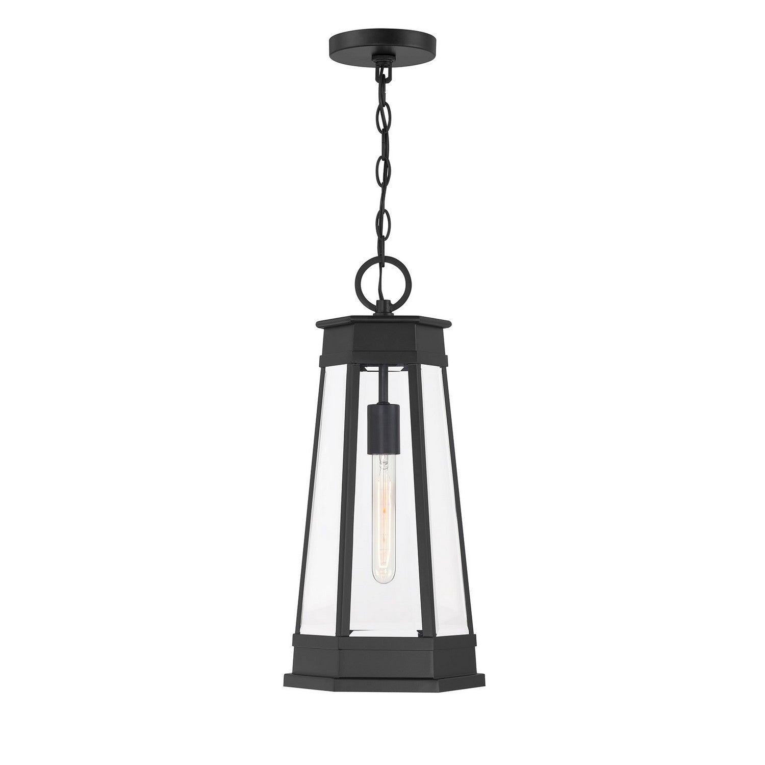 Lanterne suspendue extérieure 1 lumière | Payne