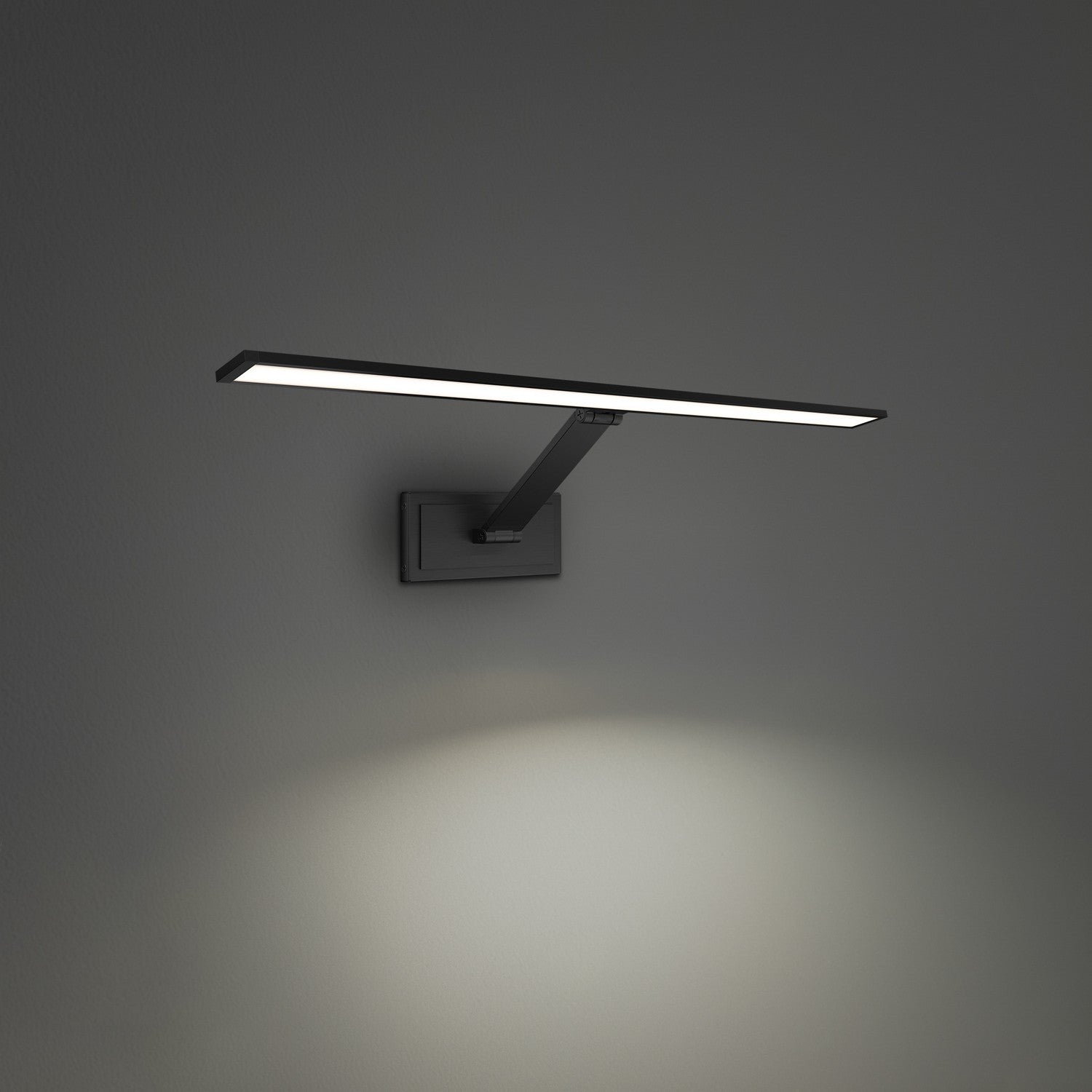 Picture Light DEL | Diver