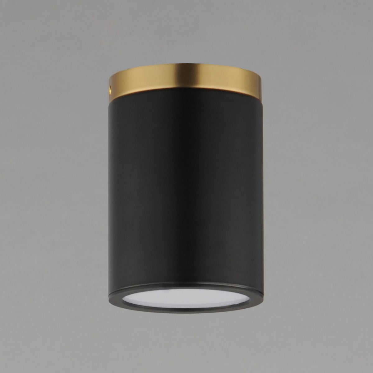 Plafonnier 1 lumière | Dapper