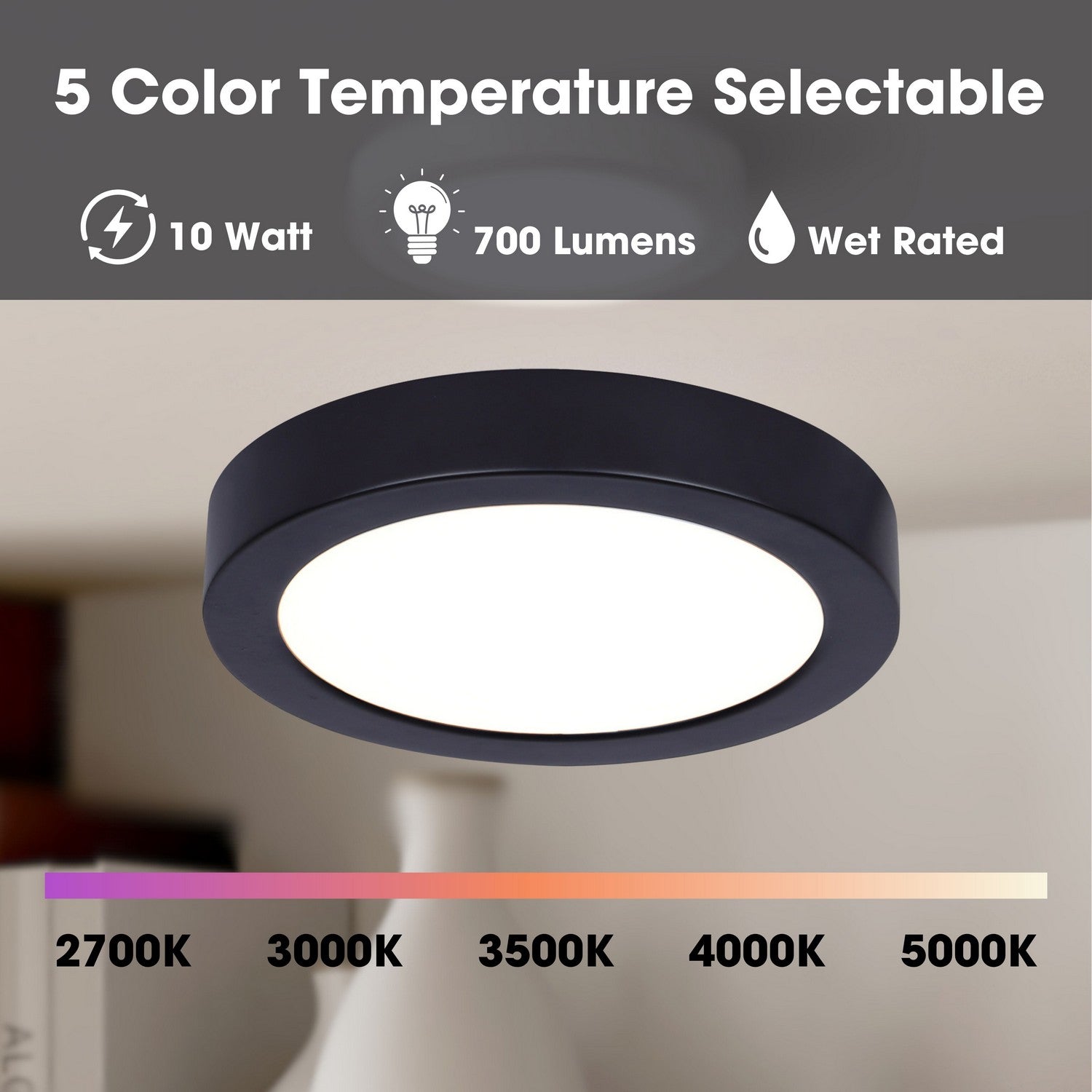 Plafonnier disque DEL | Led Disk Light