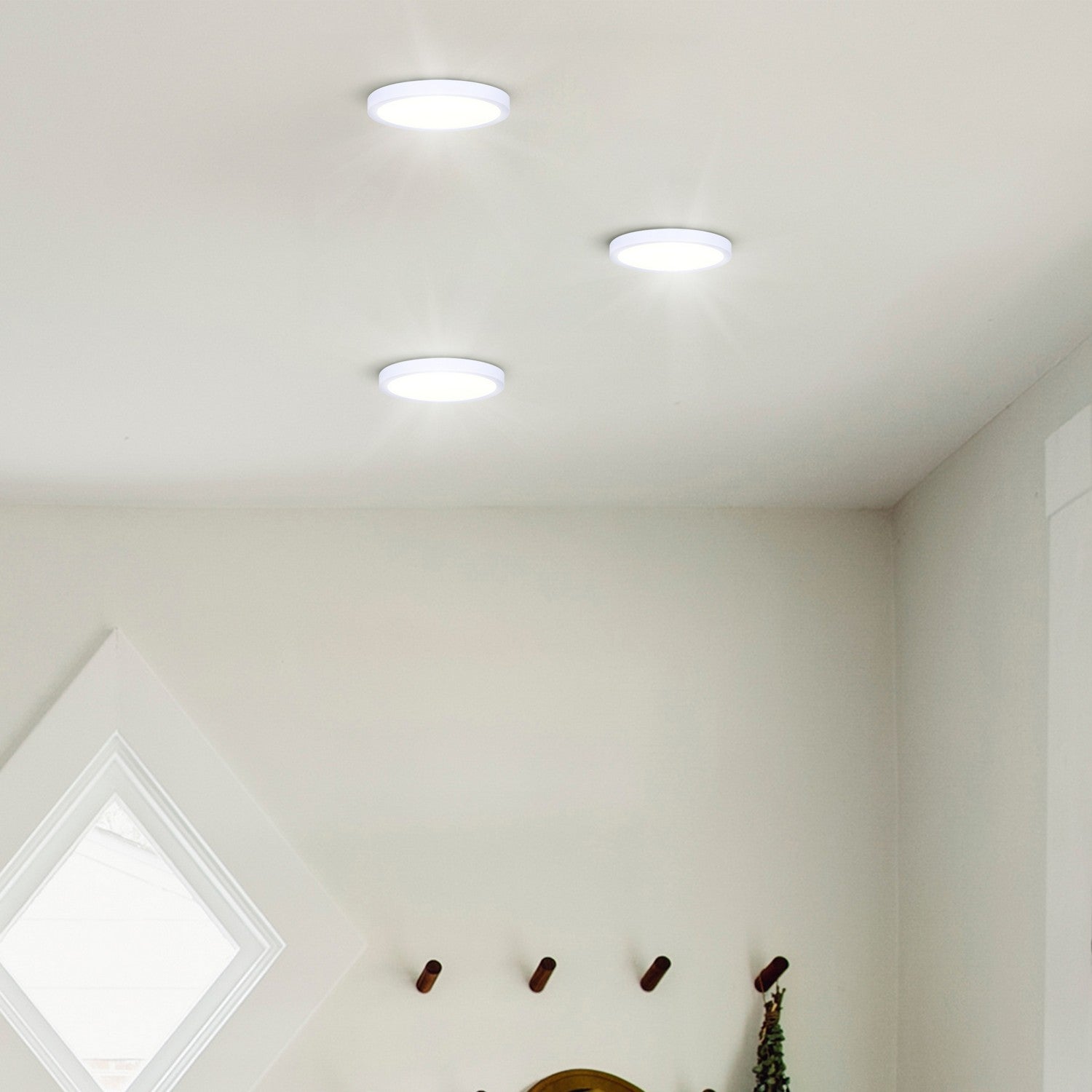 Plafonnier disque DEL | Led Disk Light