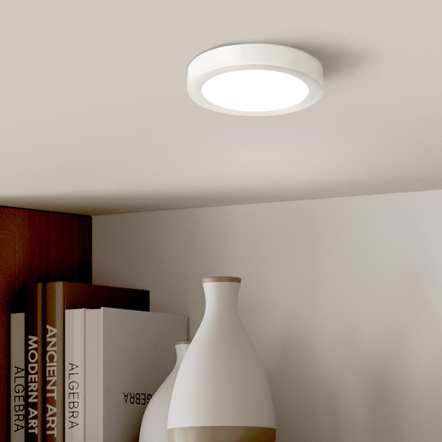 Plafonnier disque DEL | Led Disk Light