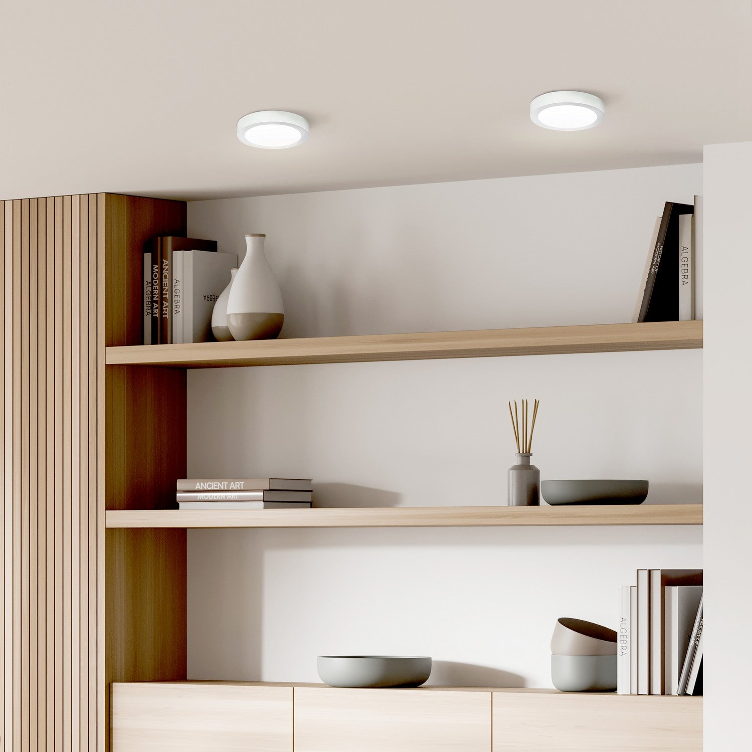 Plafonnier disque DEL | Led Disk Light