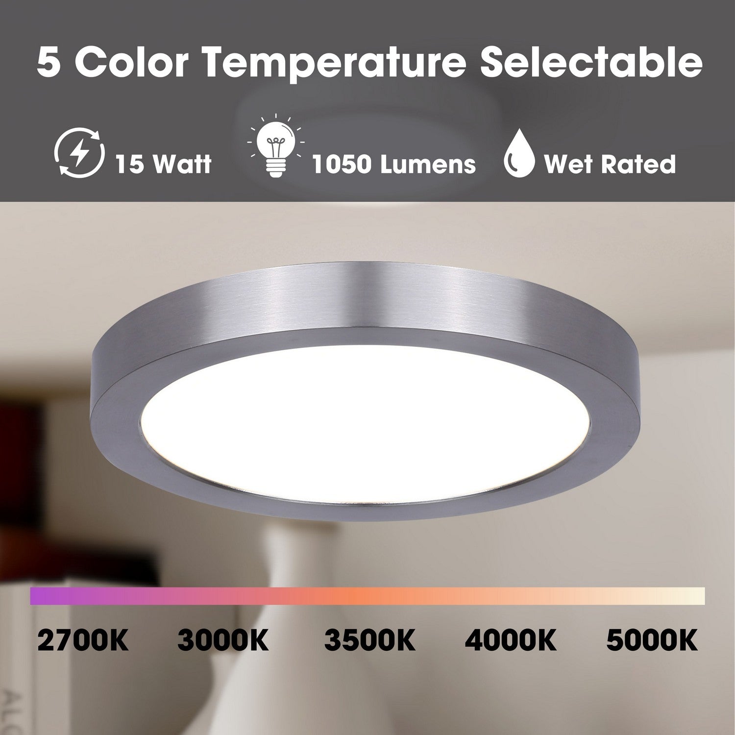 Plafonnier disque DEL | Led Disk Light