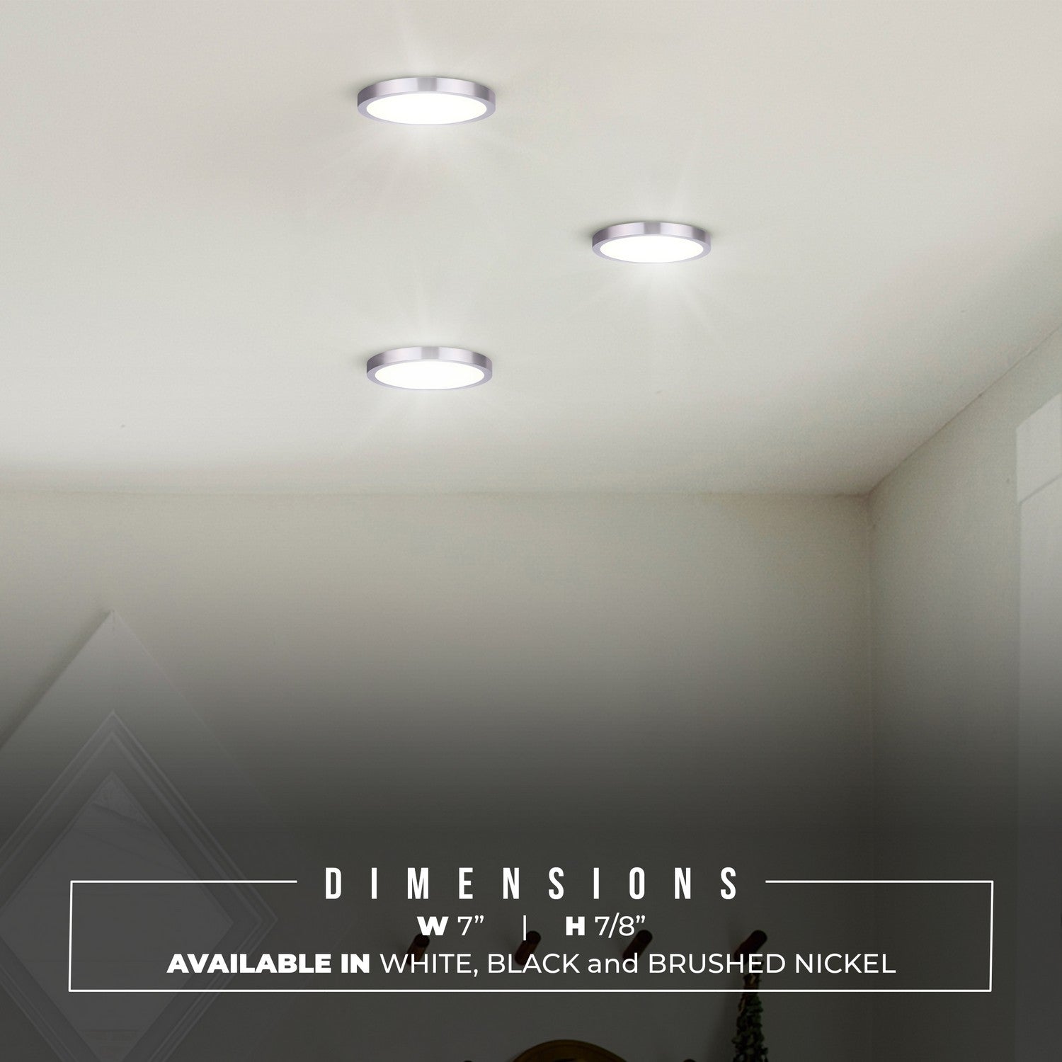 Plafonnier disque DEL | Led Disk Light