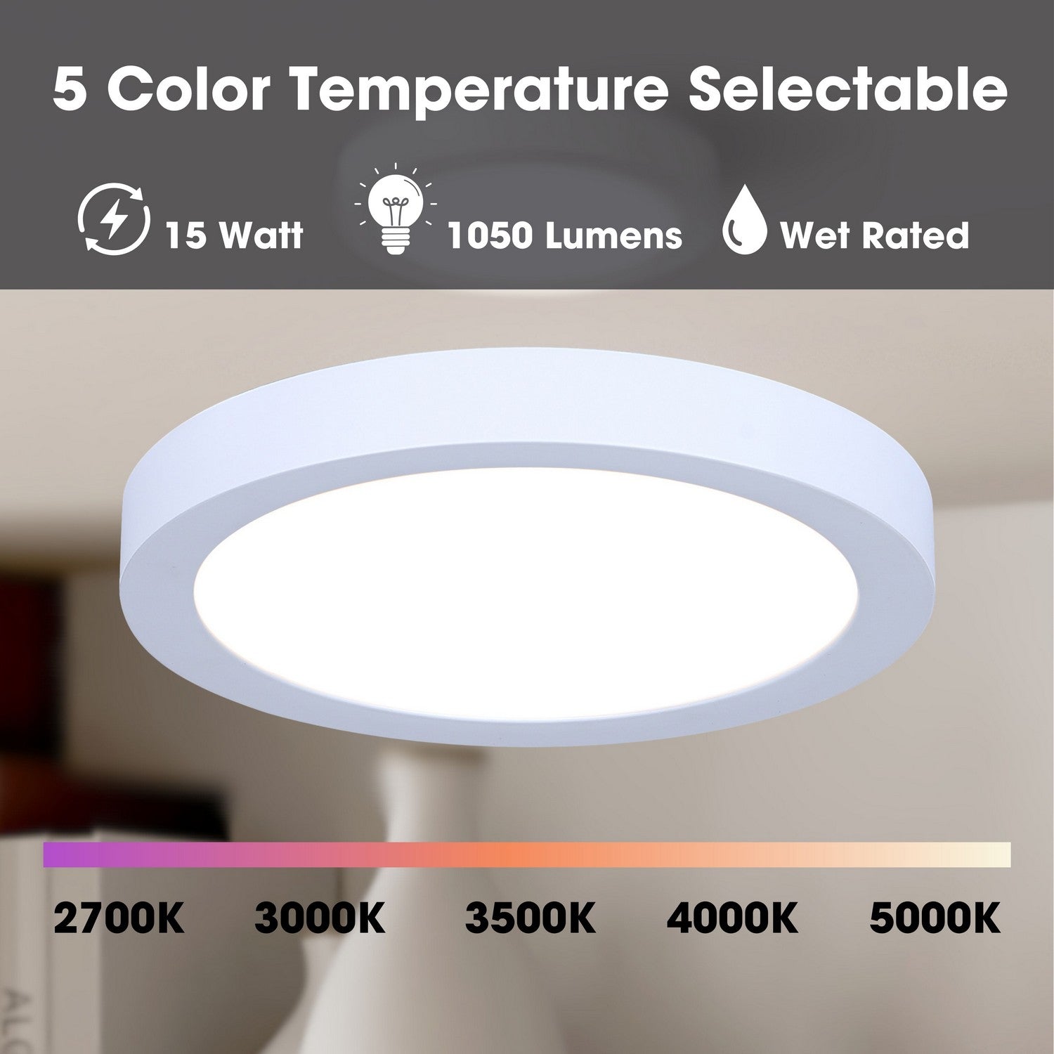 Plafonnier disque DEL | Led Disk Light