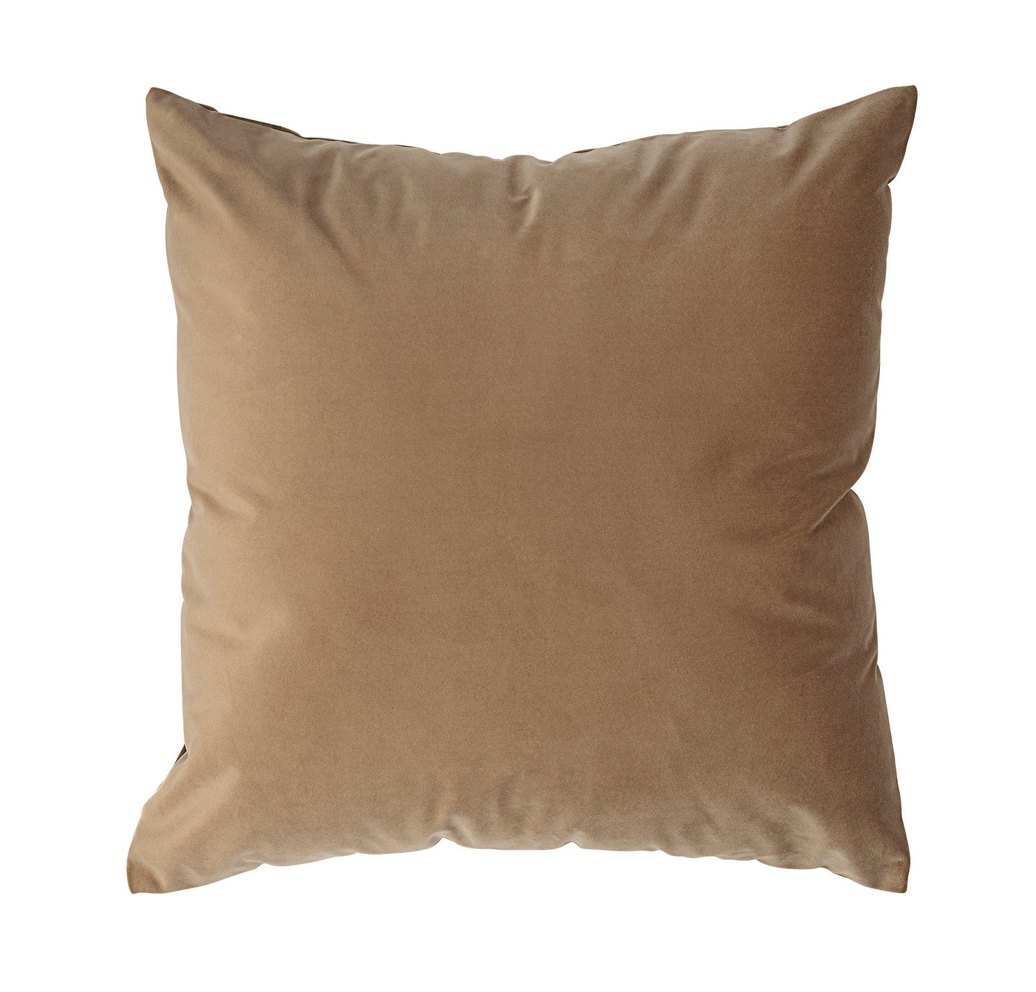 Coussin | Alchemilla