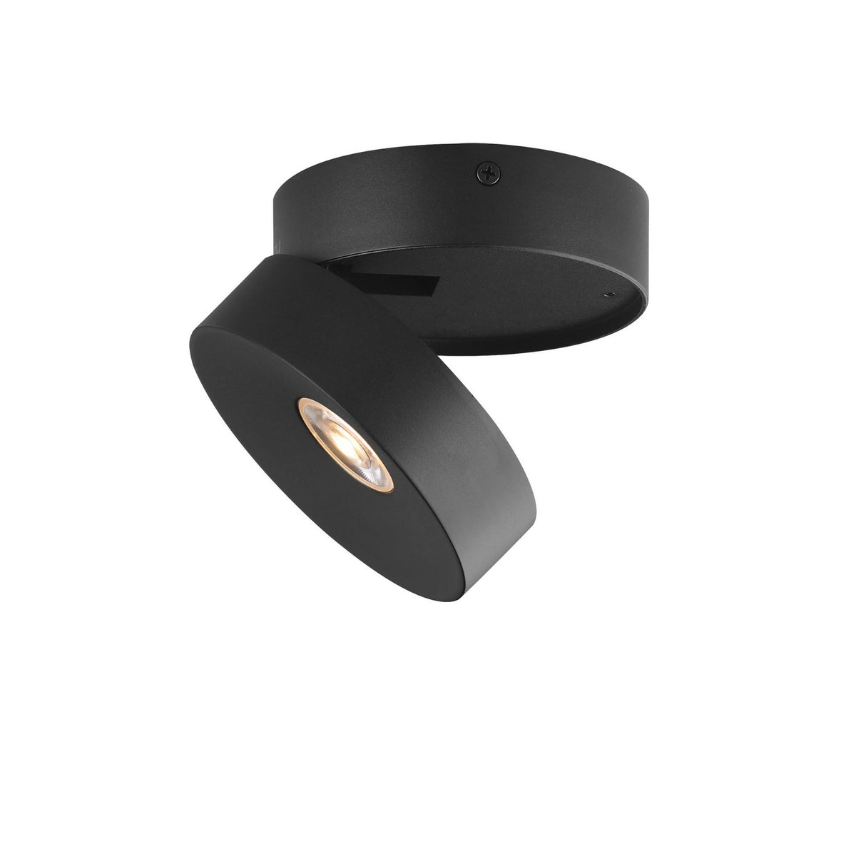 Maxim - Plafonnier extérieur DEL | Swinger - 86243BK