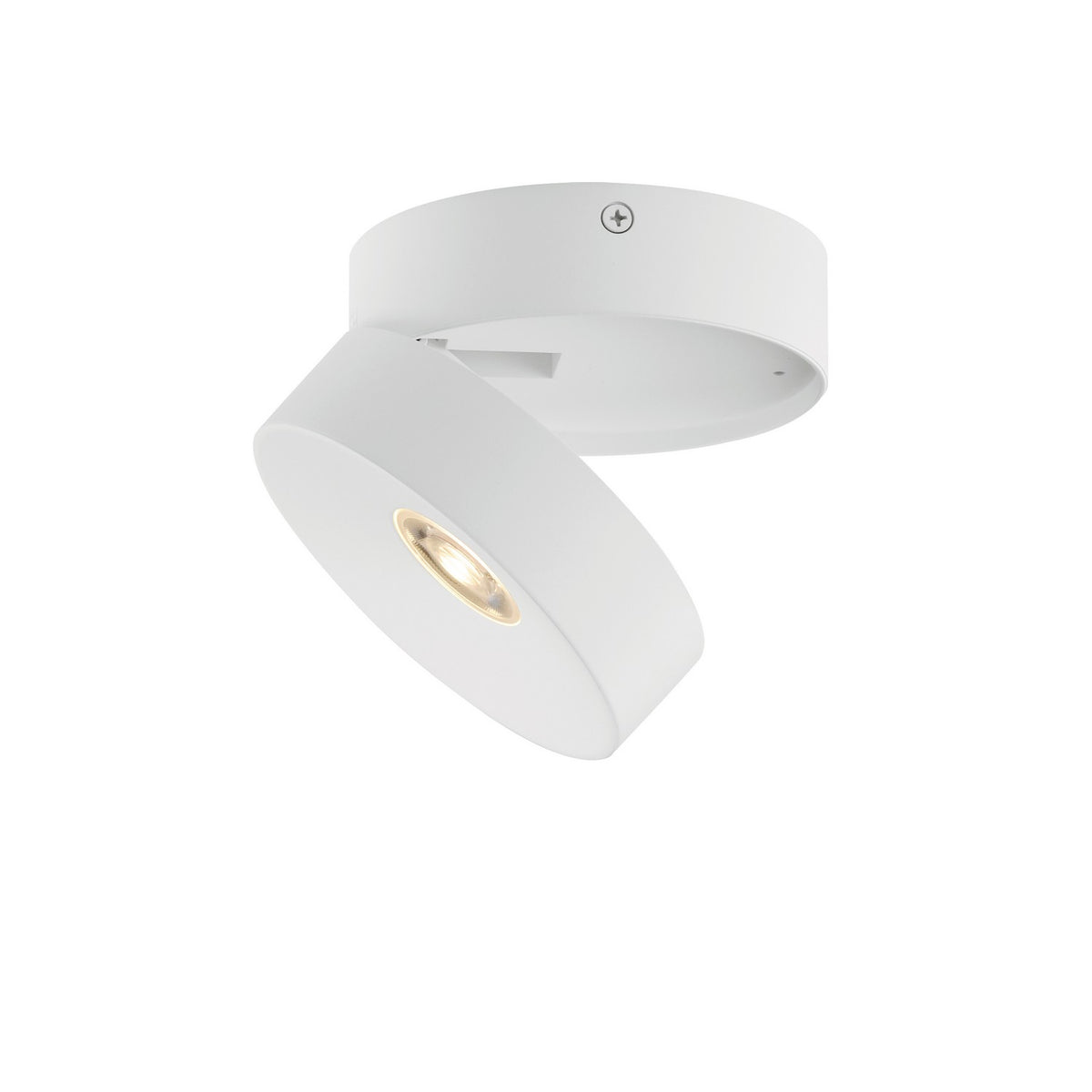 Maxim - Plafonnier extérieur DEL | Swinger - 86243WT
