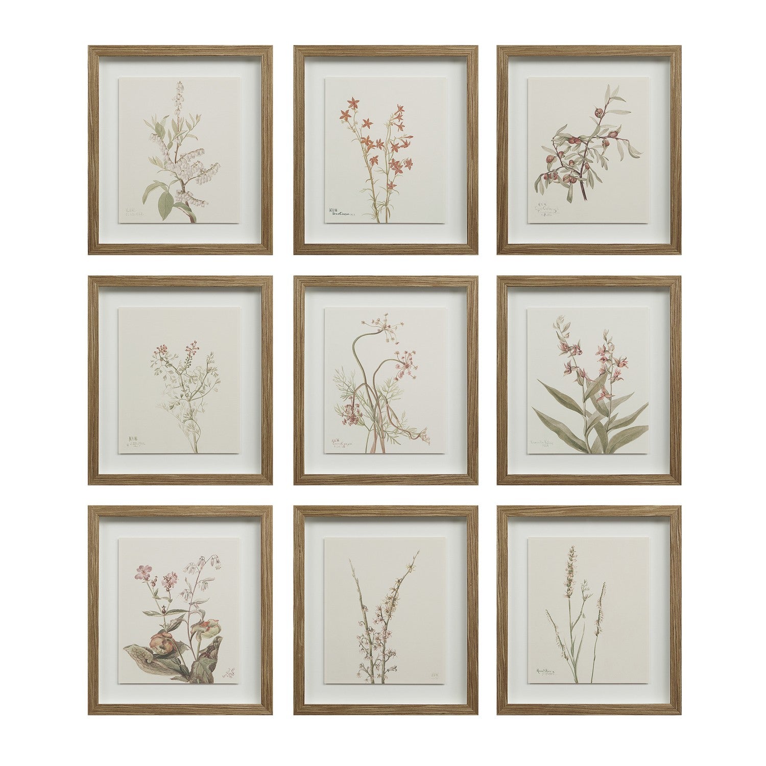 Décoration murale | Crema
