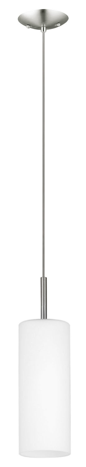 Suspension 1 lumière | Troy 3