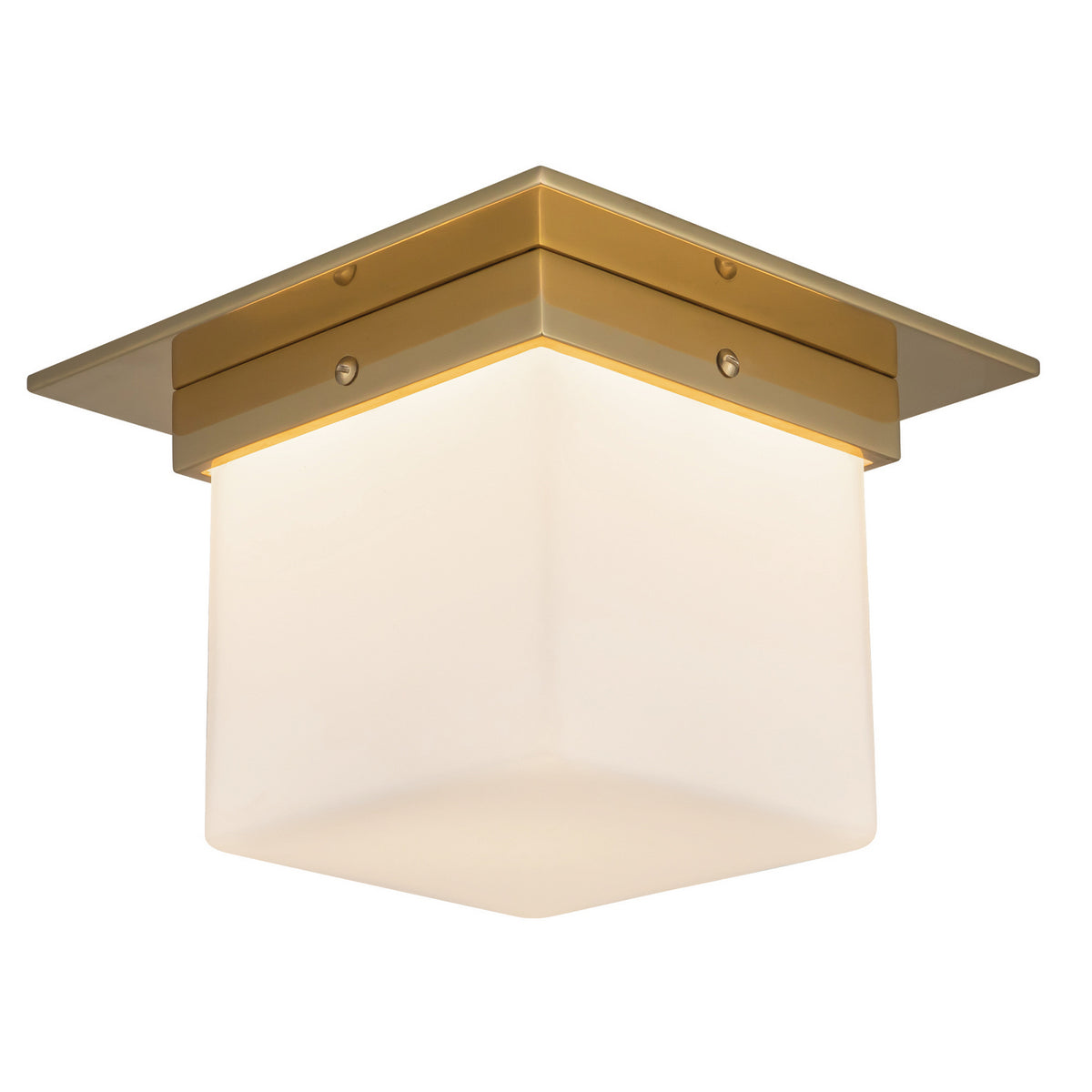 Plafonnier 1 lumière | Mineral
