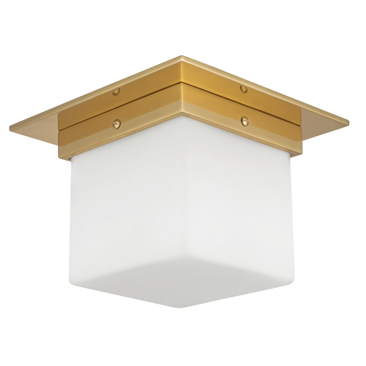 Plafonnier 1 lumière | Mineral