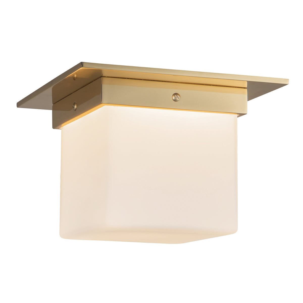 Plafonnier 1 lumière | Mineral