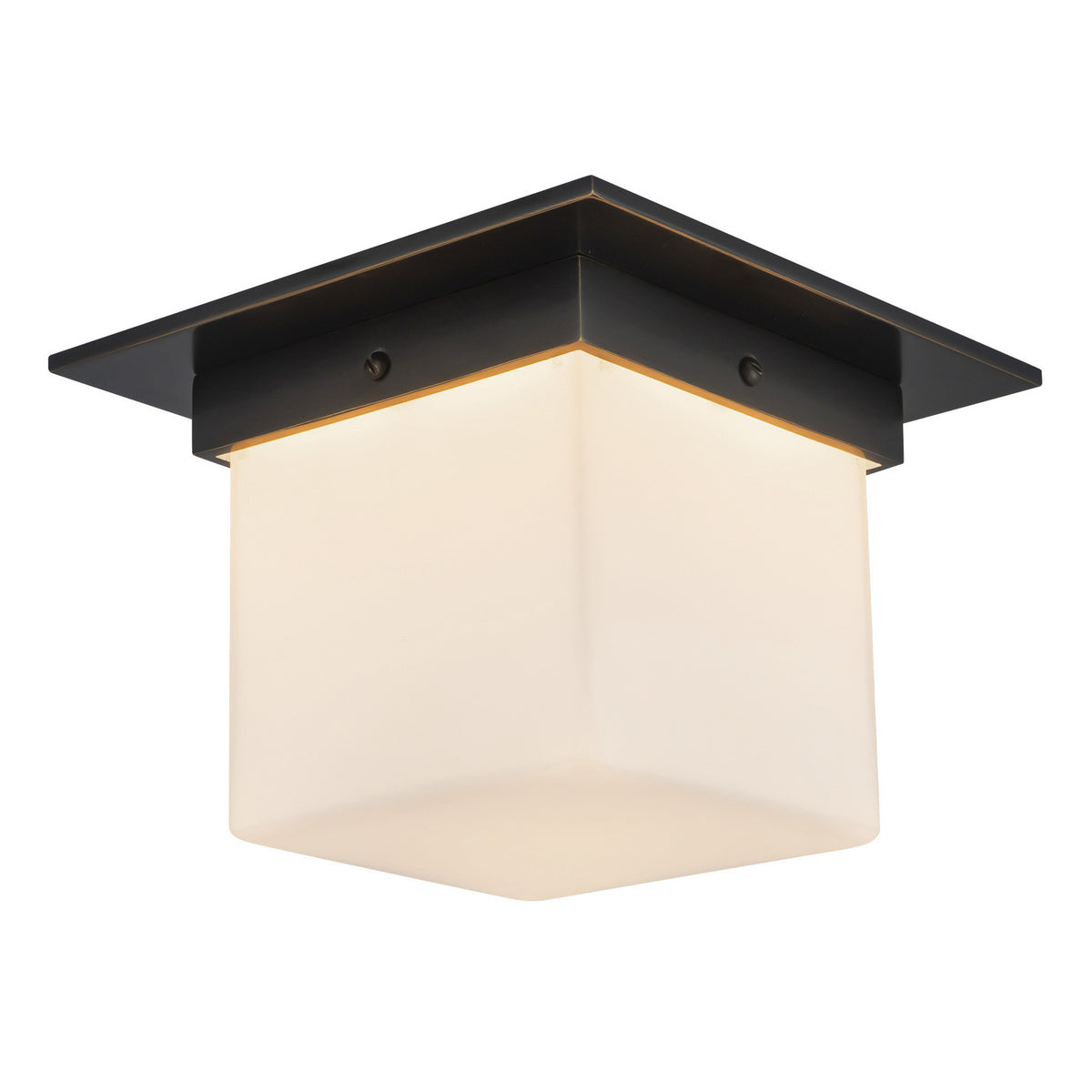 Plafonnier 1 lumière | Mineral