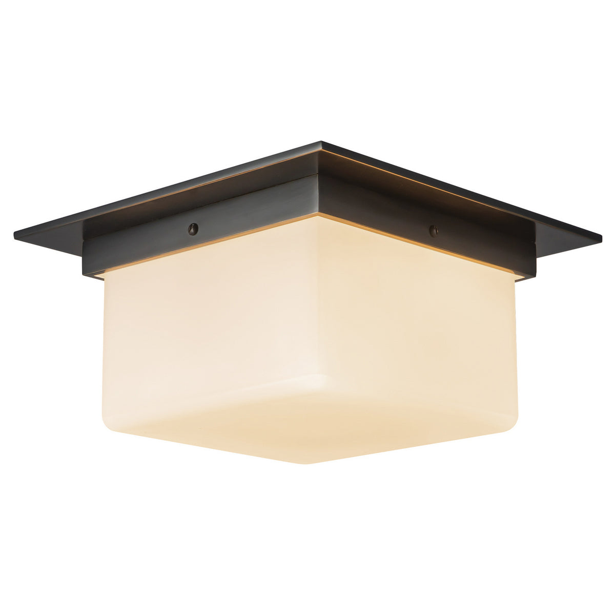 Plafonnier 2 lumières | Mineral