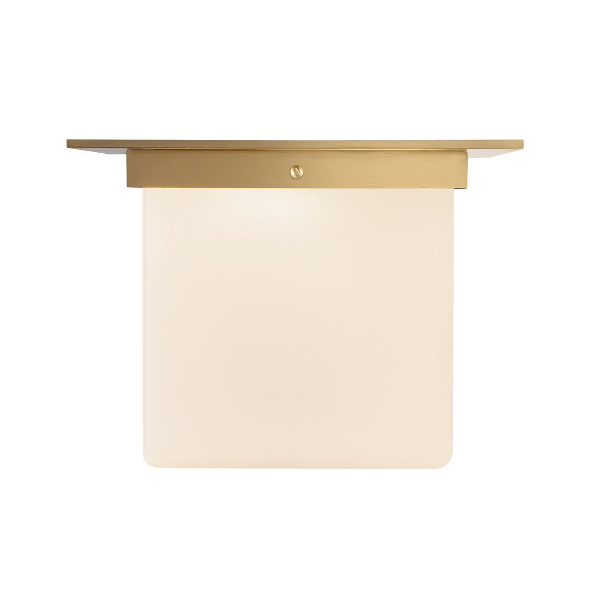 Plafonnier 1 lumière | Mineral