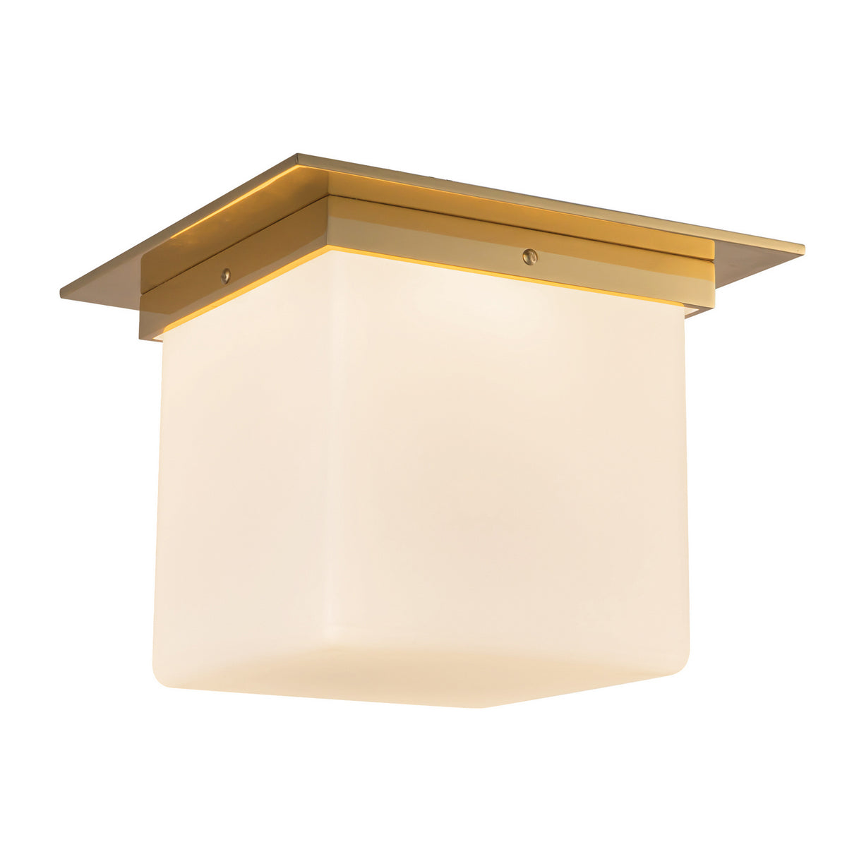 Plafonnier 1 lumière | Mineral