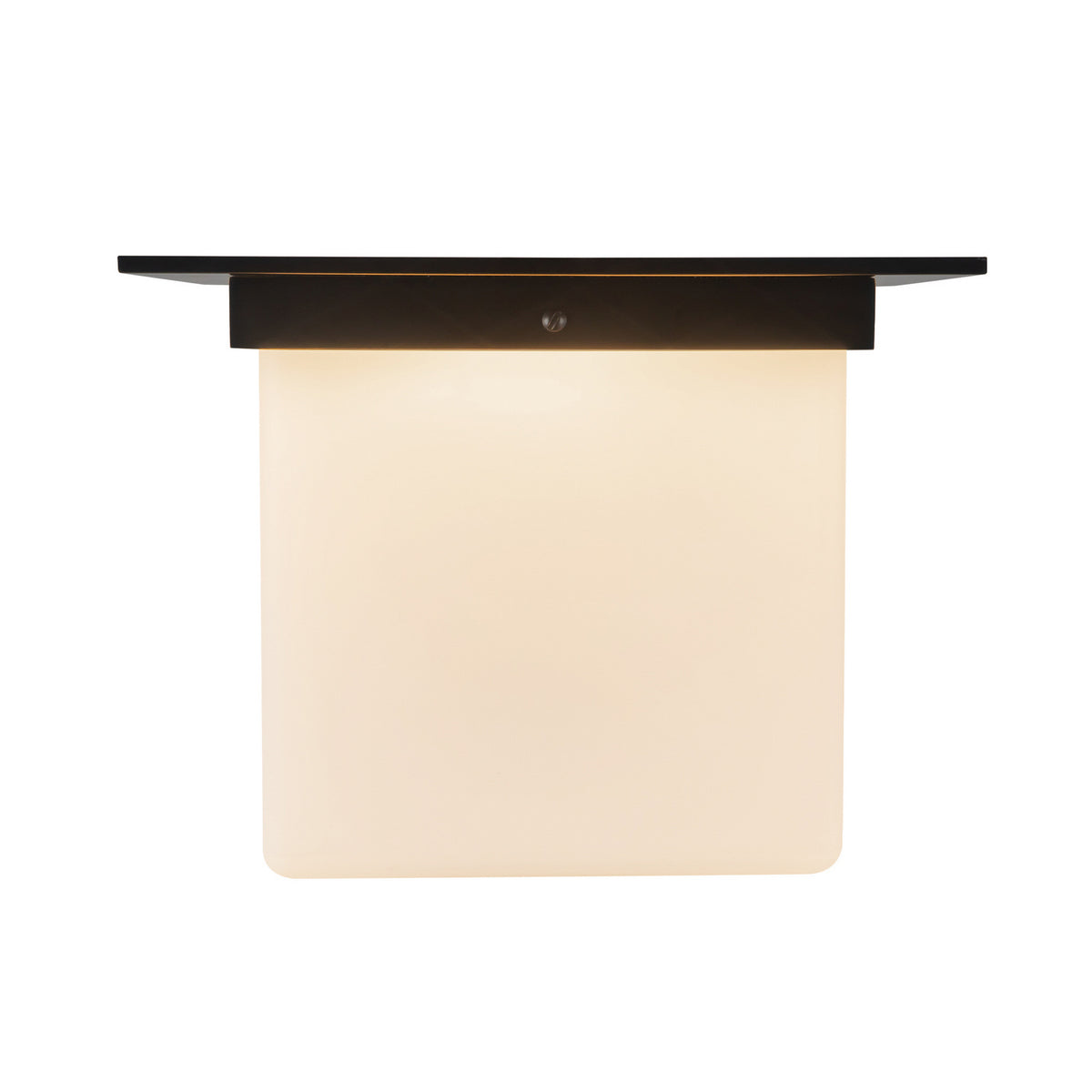 Plafonnier 1 lumière | Mineral