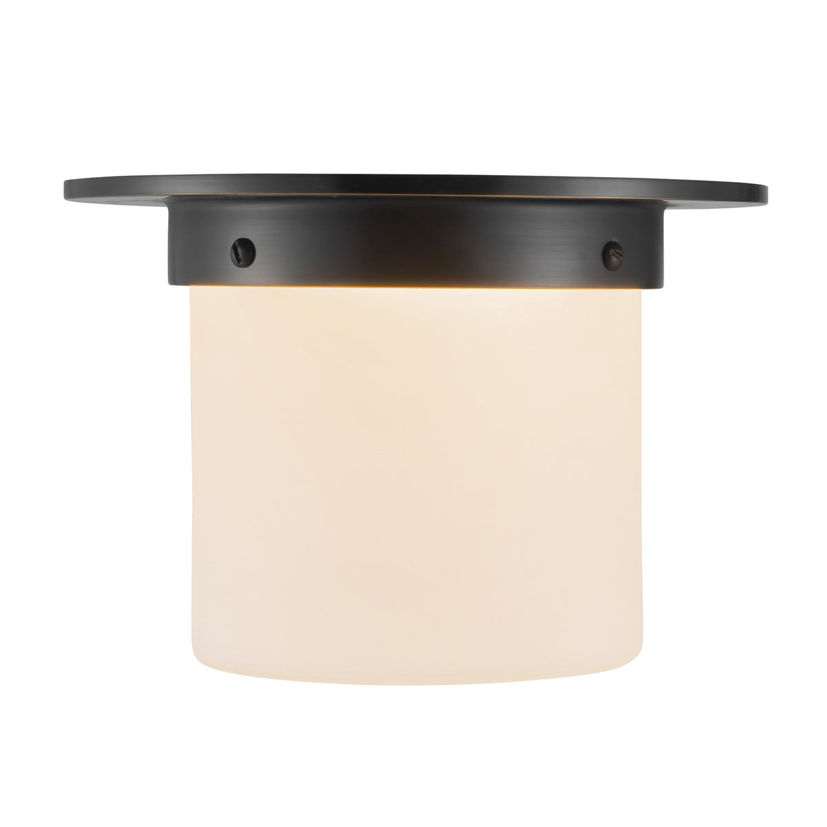 Plafonnier 1 lumière | Mineral