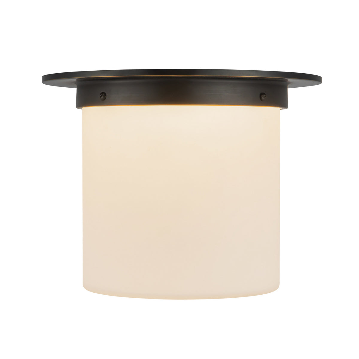 Plafonnier 1 lumière | Mineral