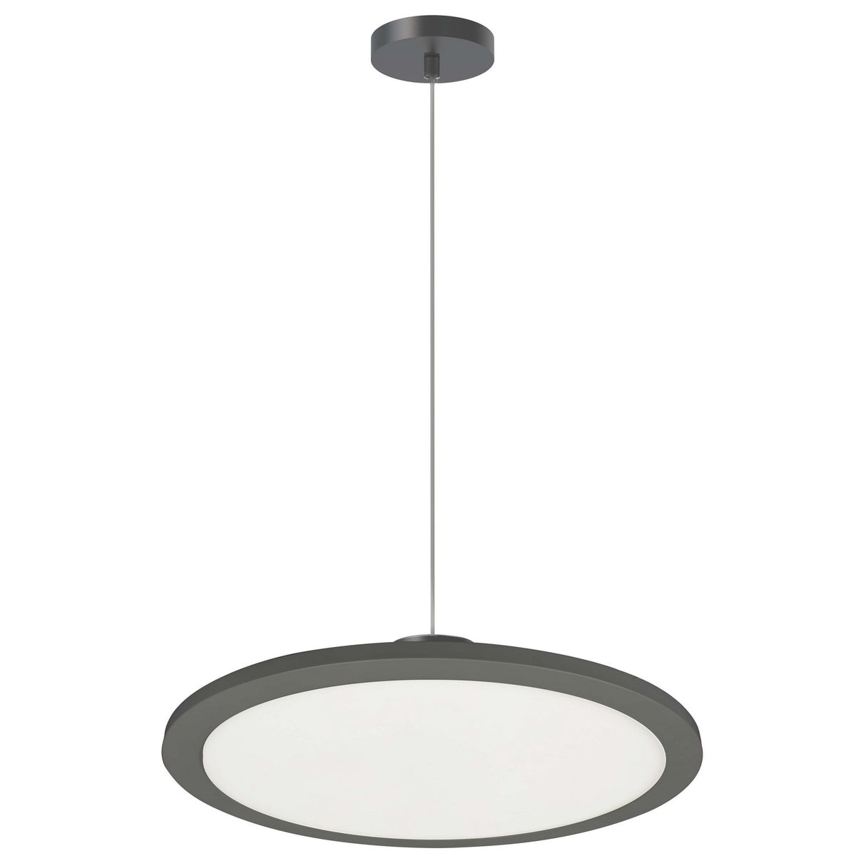 Suspension DEL | Franchesa
