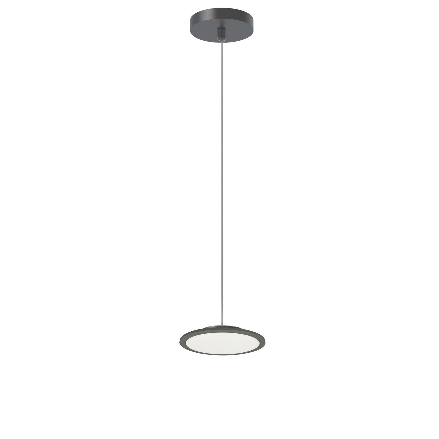 Suspension DEL | Franchesa