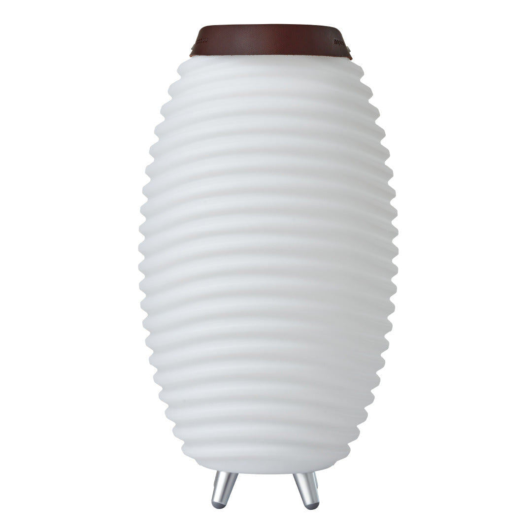 Lampe avec haut-parleur DEL | Synergy