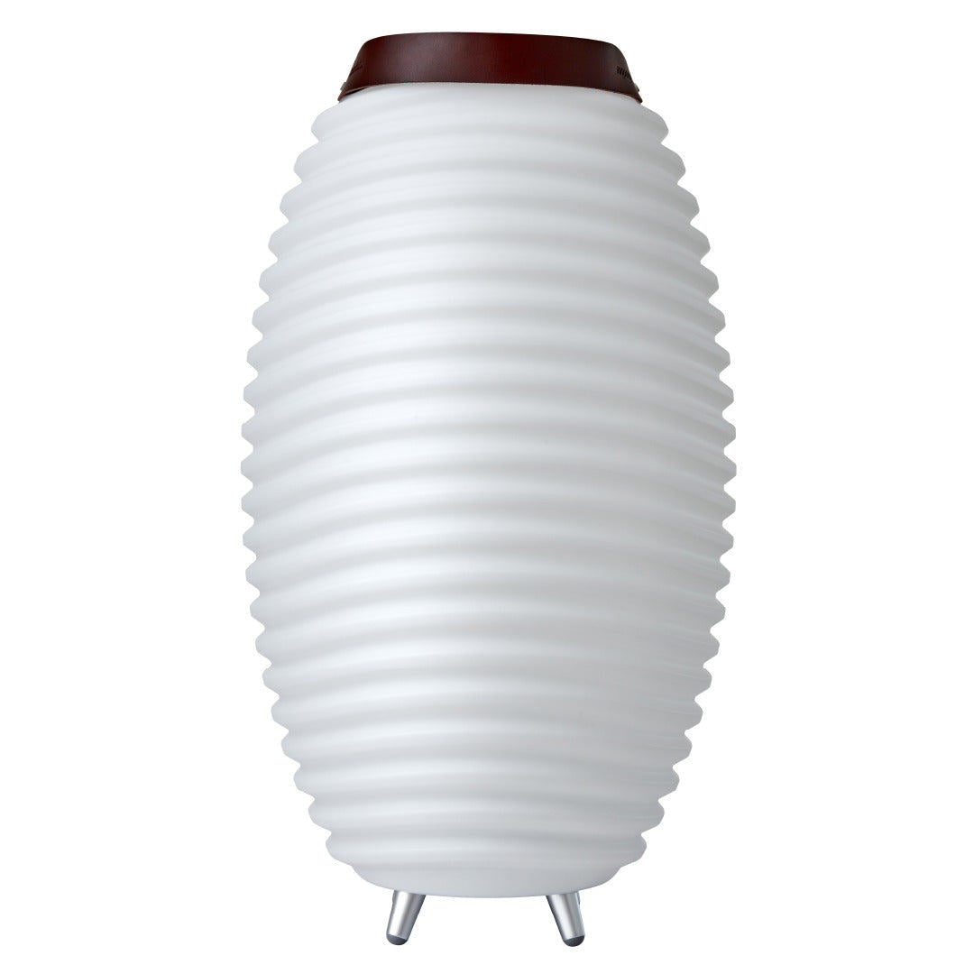 Lampe avec haut-parleur DEL | Synergy