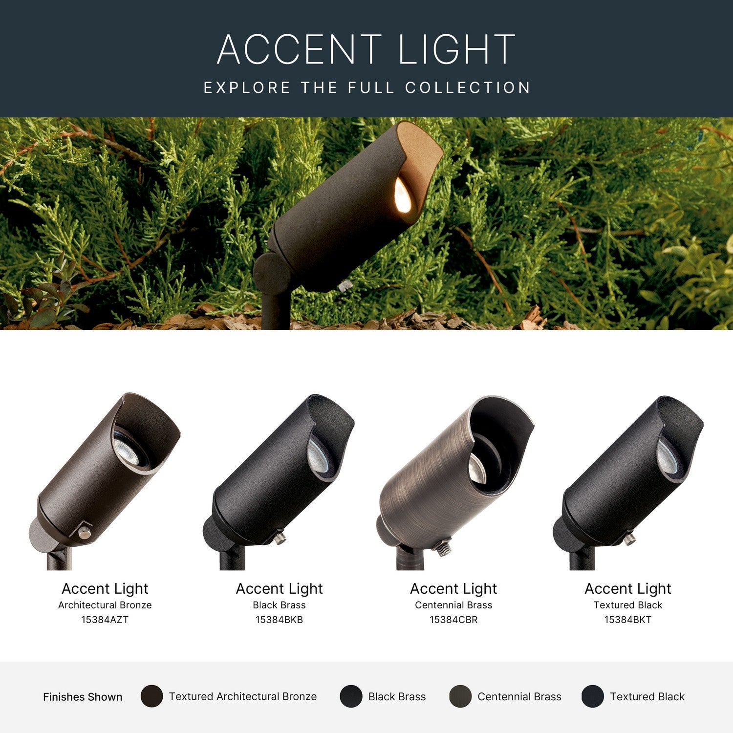 Luminaire d'accent 1 lumière