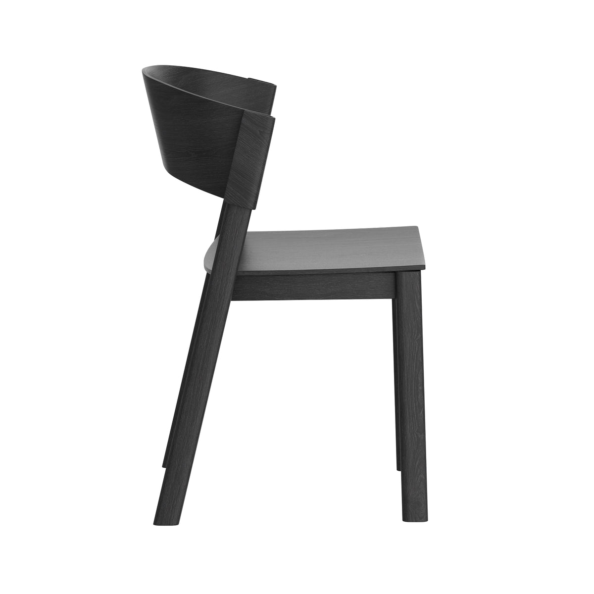 Chaises de salle à manger, ensemble de 2 Elias – fini NOIR | World Wide