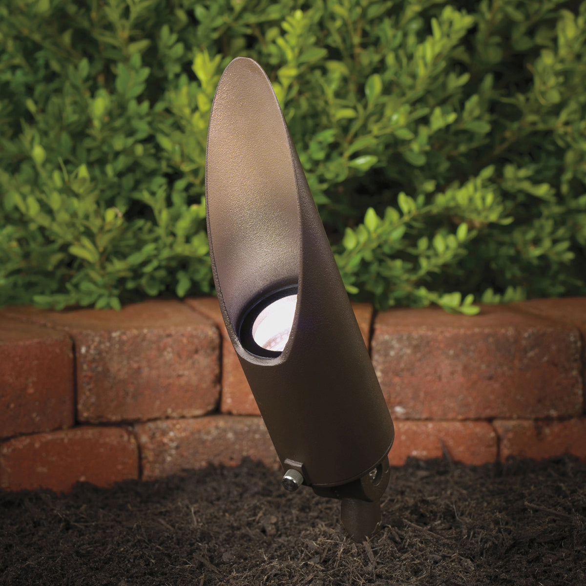 Luminaire d'accent 1 lumière