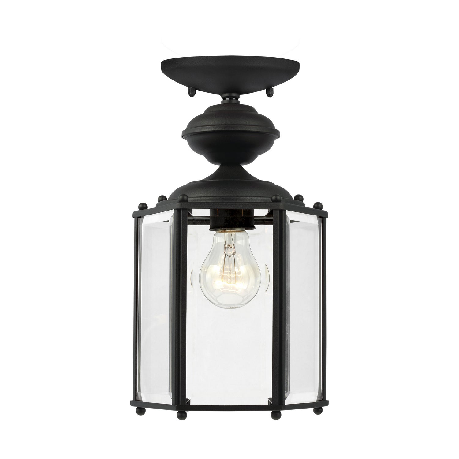 Semi-plafonnier ou suspension extérieur convertible 1 lumière | Classico