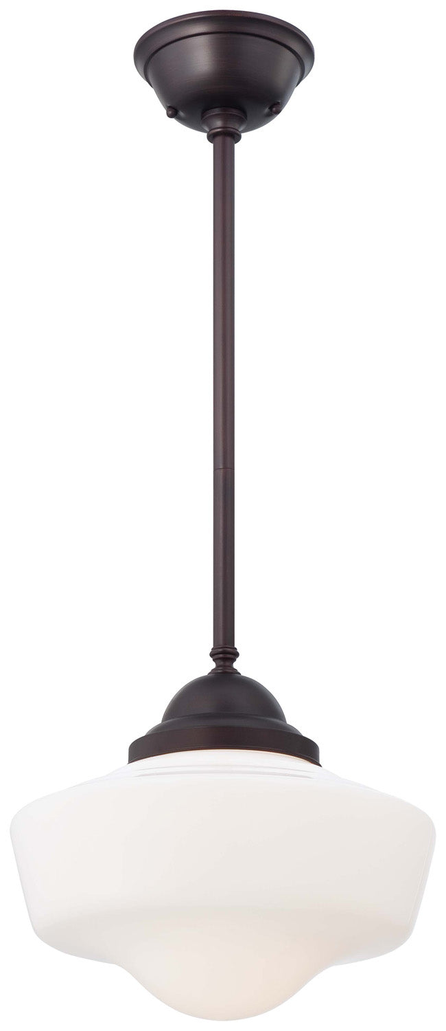 Suspension 1 lumière