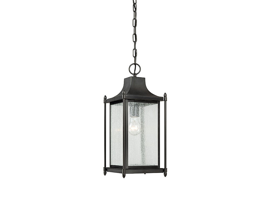Lanterne suspendue 1 lumière | Dunnmore