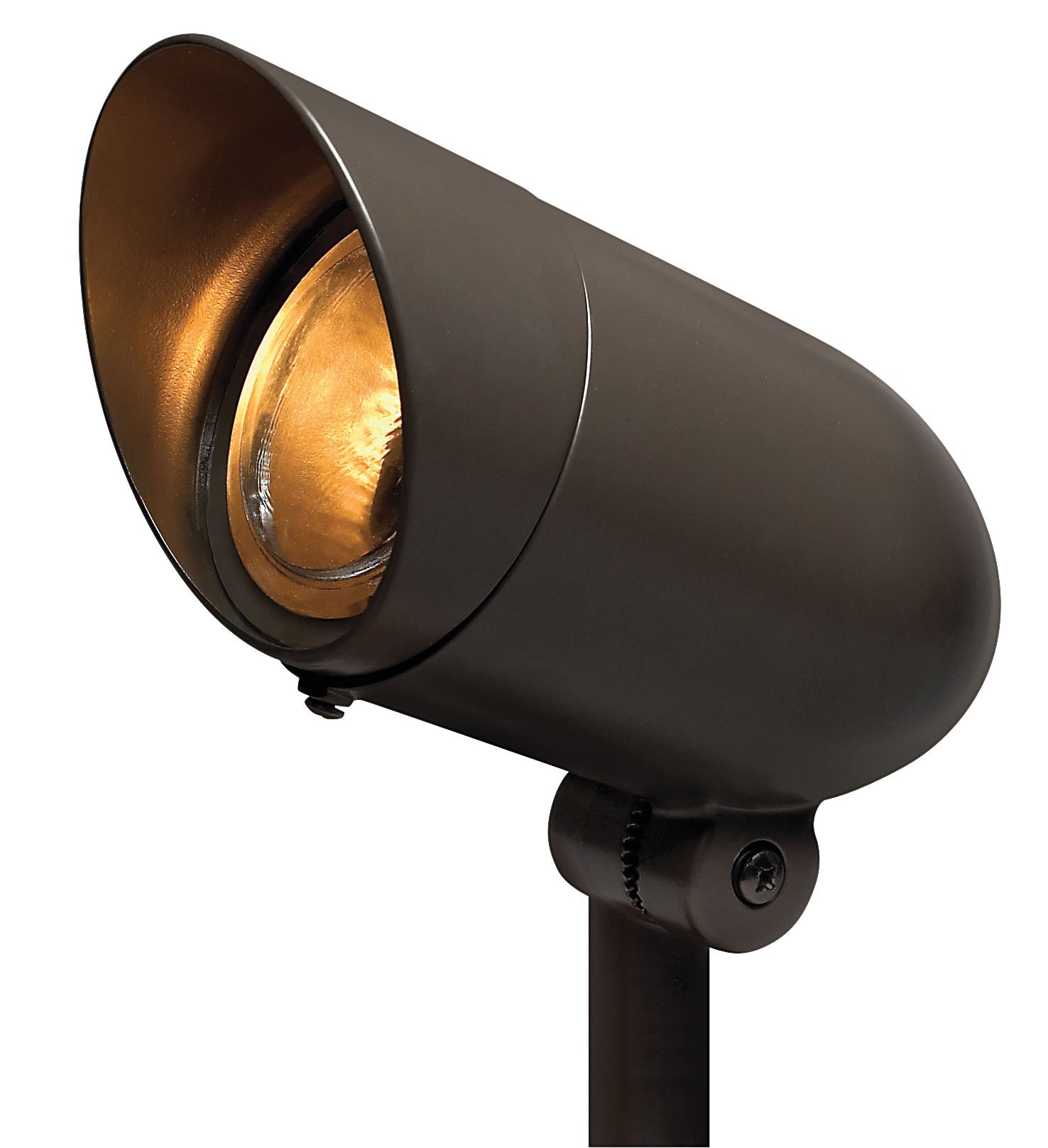 Petit 120 V projecteur