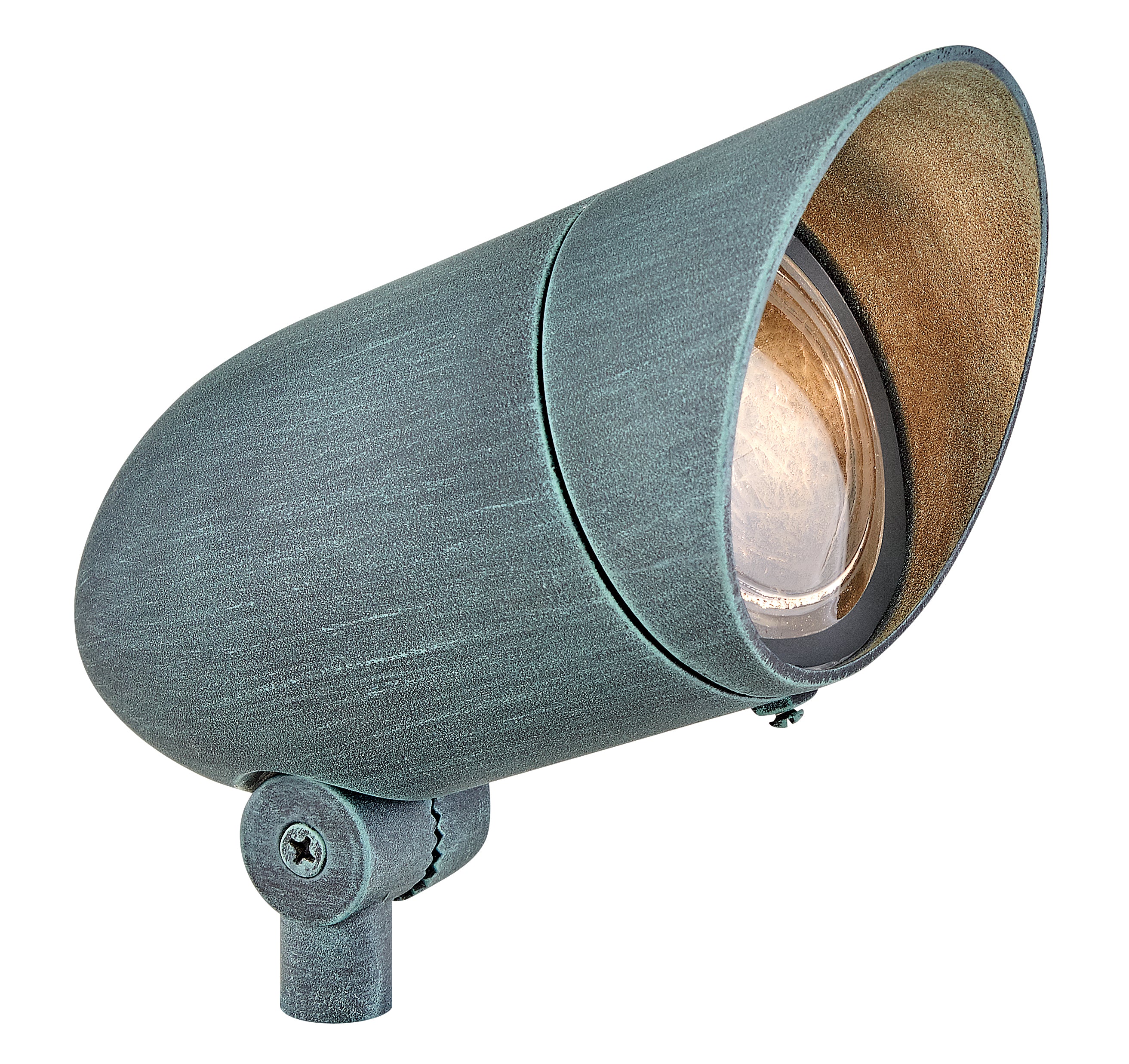 Petit 120 V projecteur