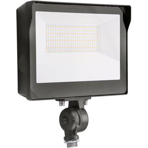 Projecteur Noir DEL INTÉGRÉ - 69926 | Stanpro