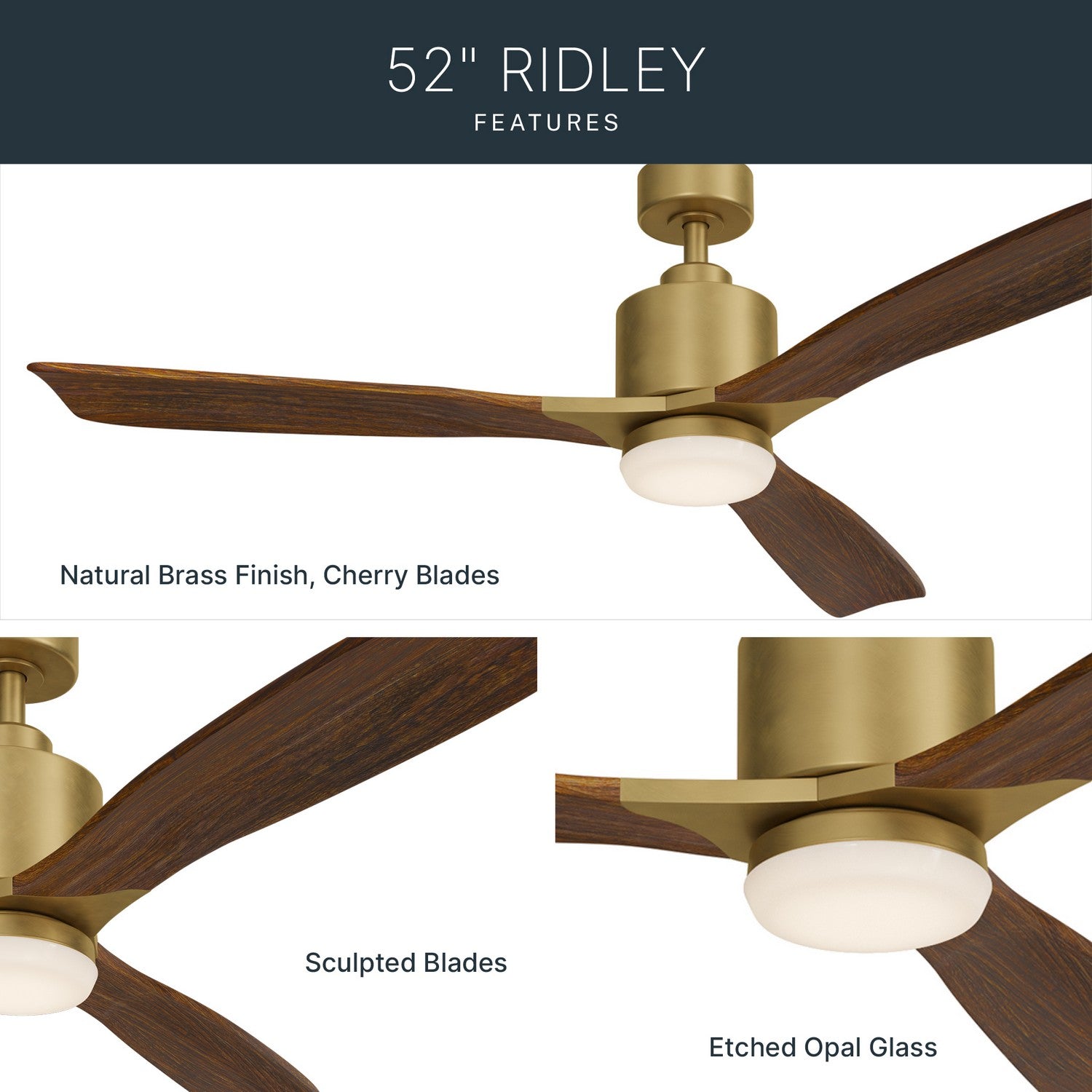 Ventilateur de plafond 52 po | Ridley II