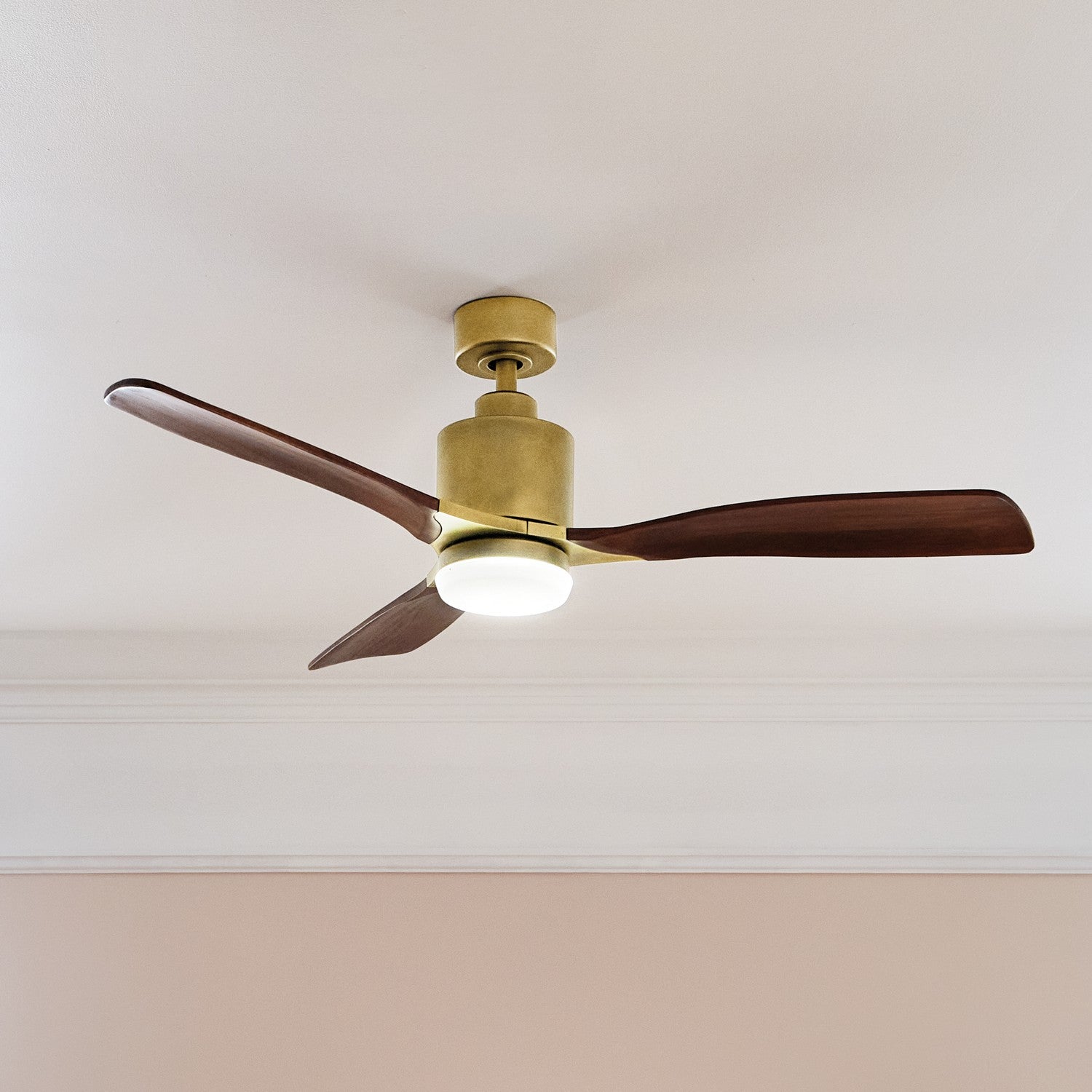 Ventilateur de plafond 52 po | Ridley II