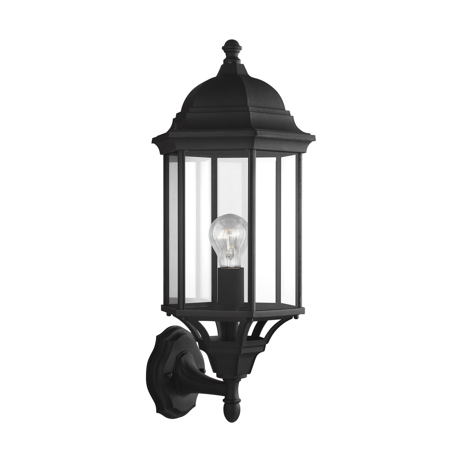 Lanterne murale extérieure 1 lumière | Sevier