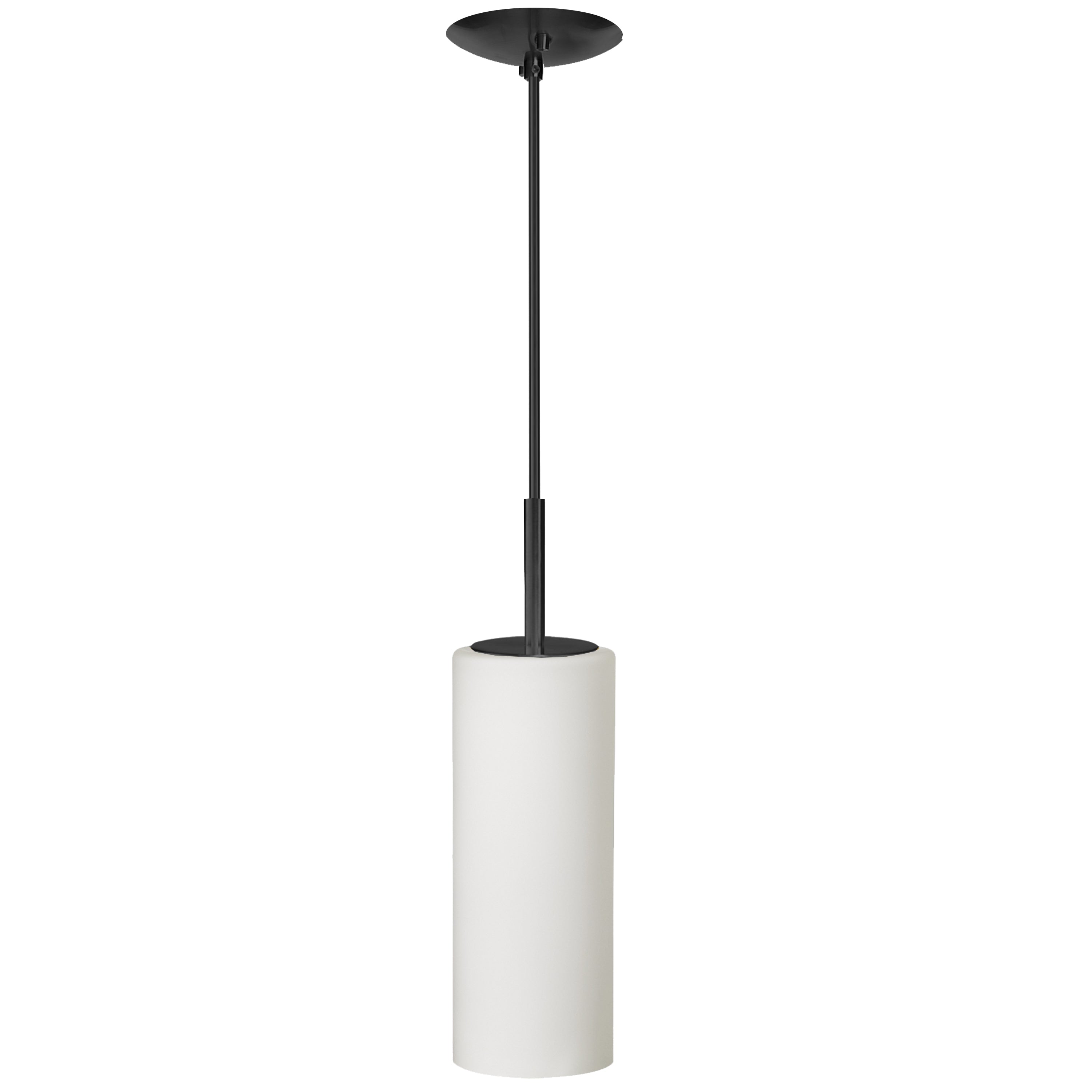 Luminaire suspendu | PAZA — 4 po