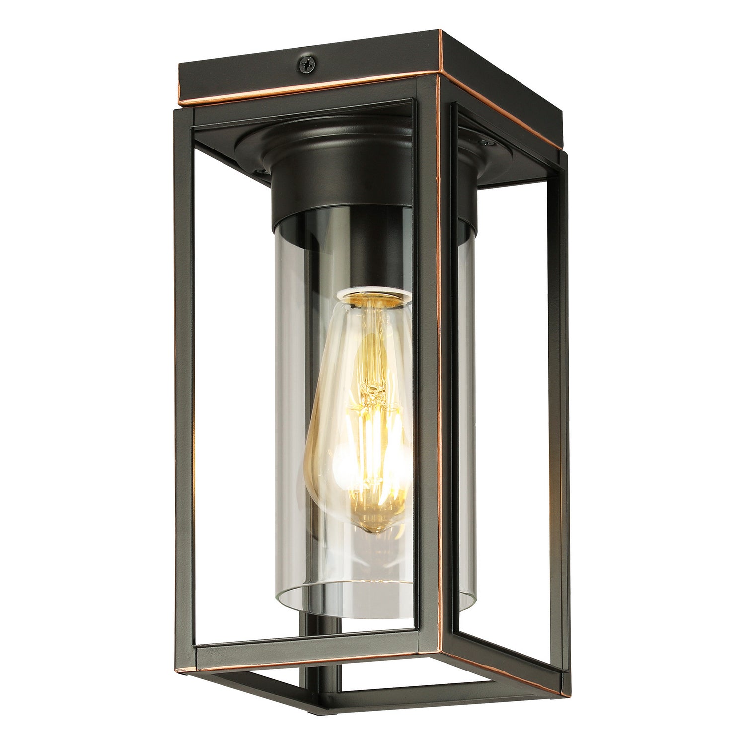 Plafonnier extérieur 1 lumière | Walker Hill