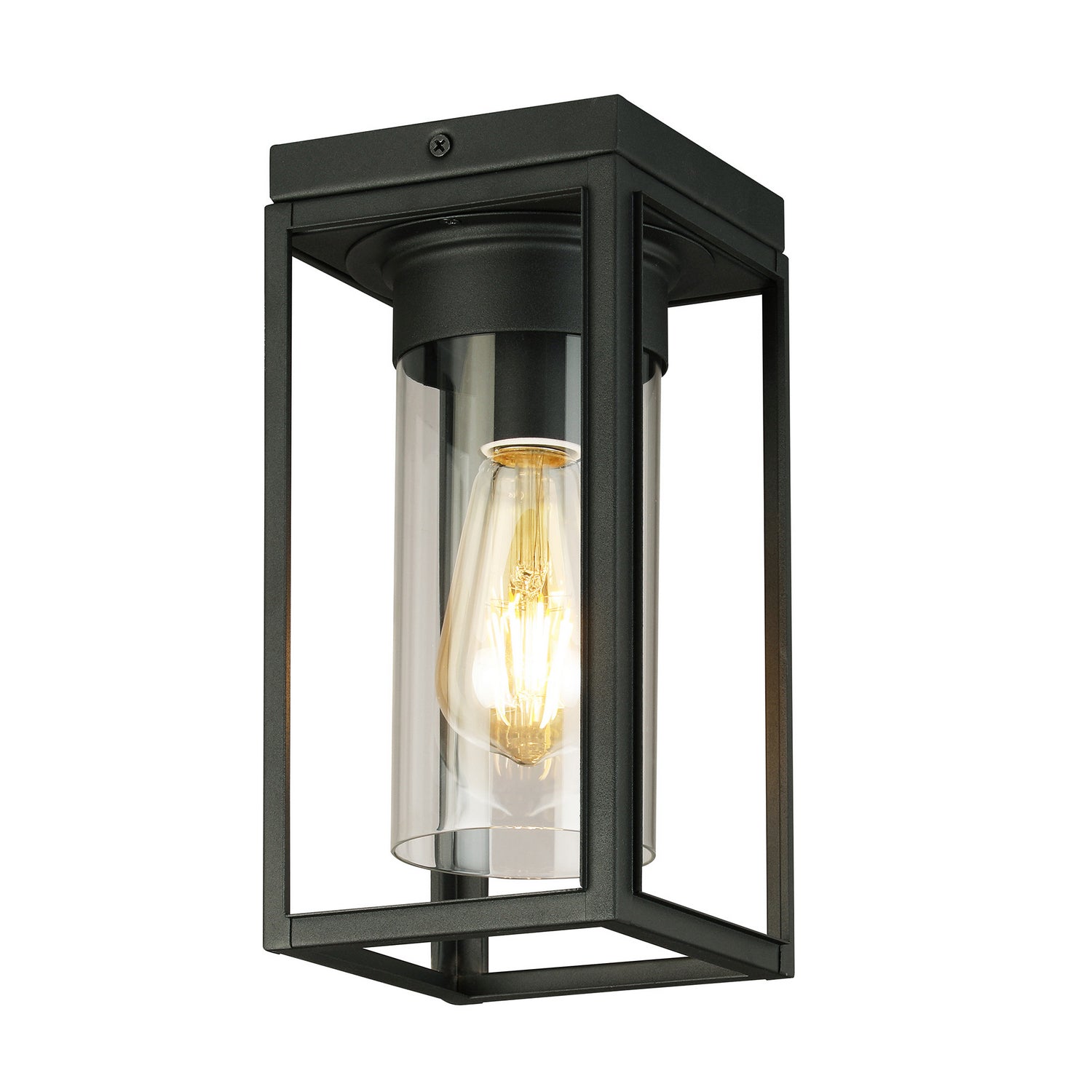 Outdoor Ceiling Mount 1 lumière | Walker Hill