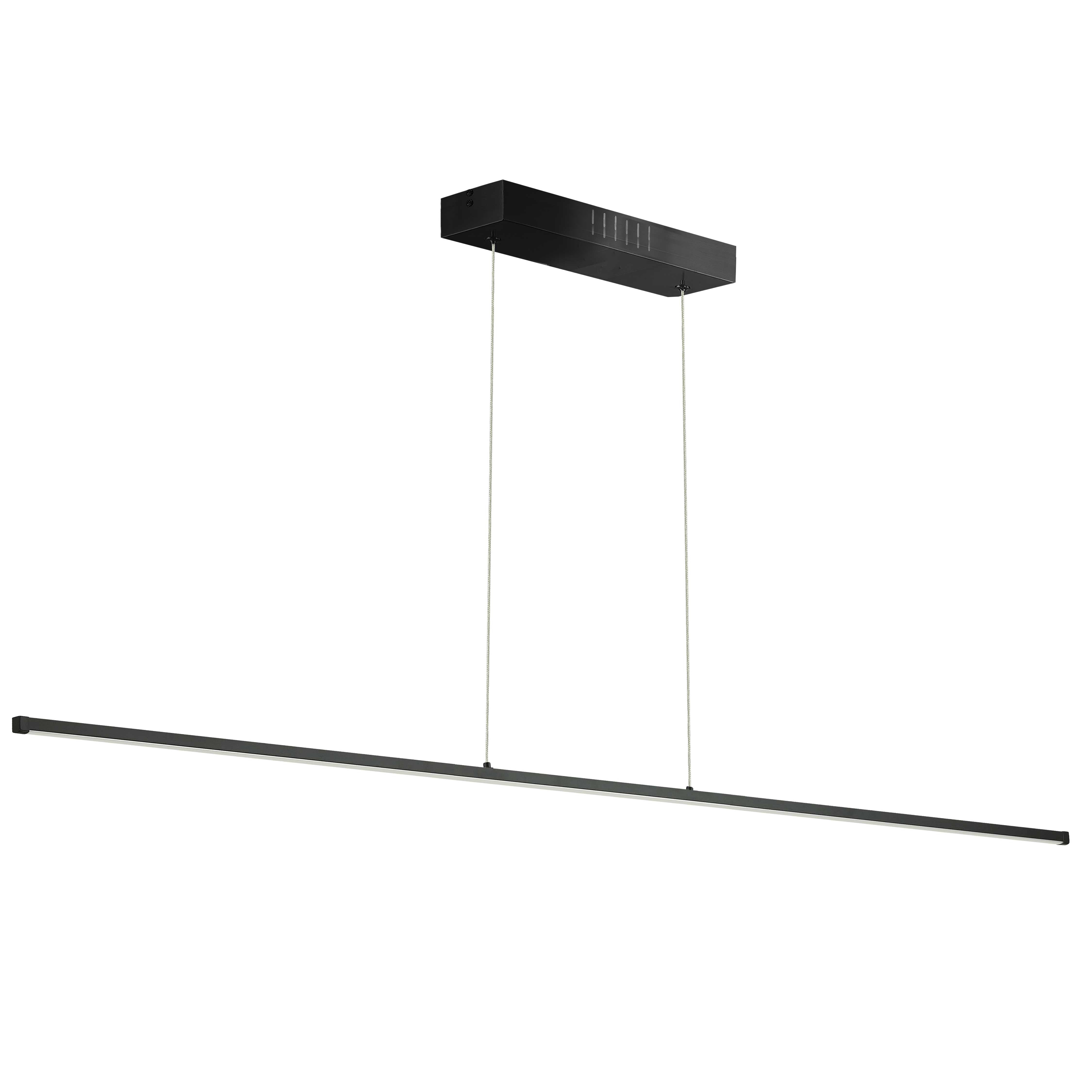 Luminaire suspendu Noir | ARRAY — 72 po
