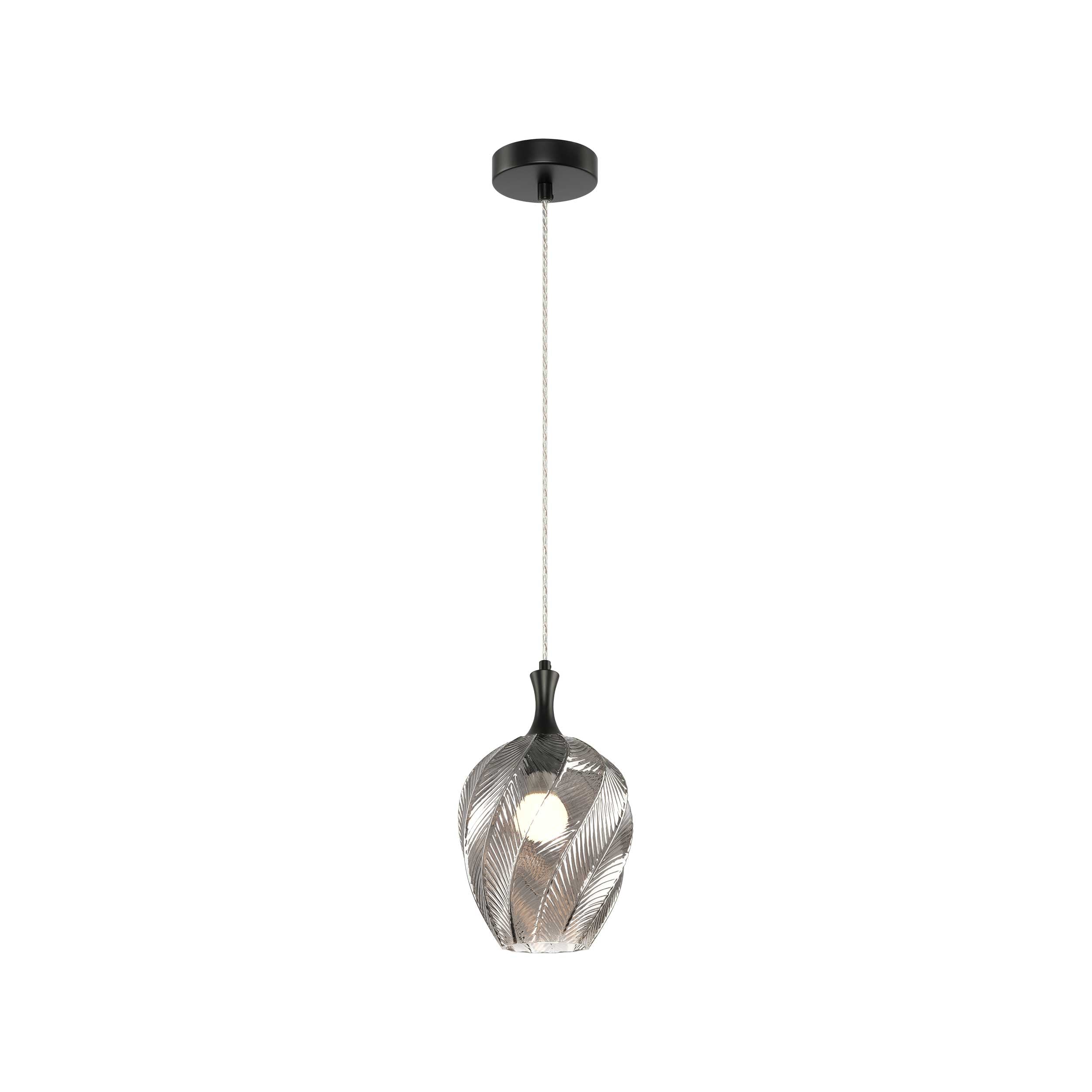 Luminaire suspendu Noir mat | EESHA