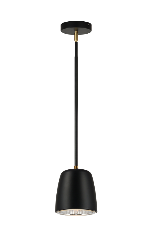 Luminaire suspendu Noir | LUCA - Noir