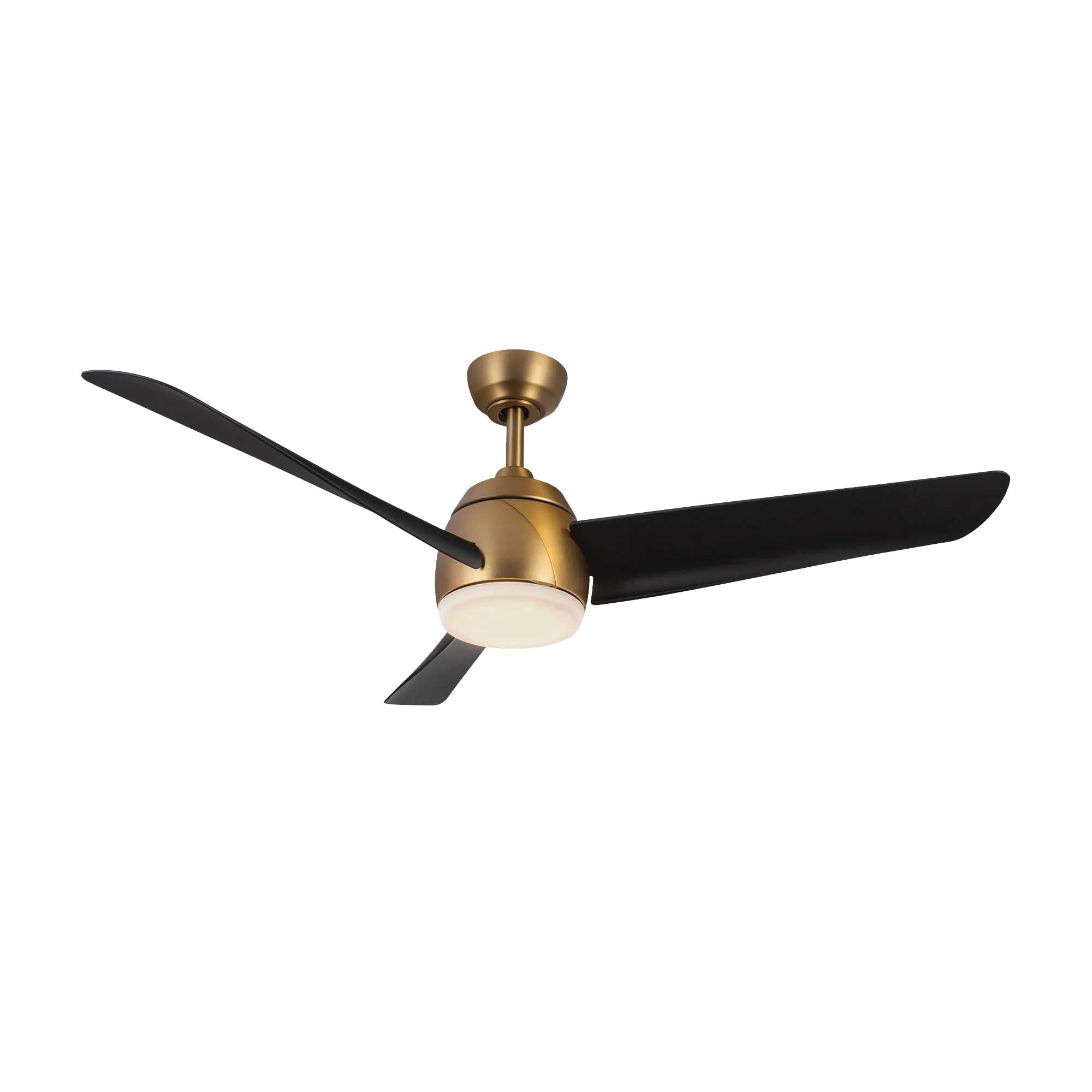 THALIA Ventilateur Or, Noir DEL INTÉGRÉ - CF91954-BG/MB | KUZCO